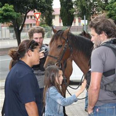 Equine adventurers need public’s support