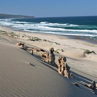Environmental message finds traction