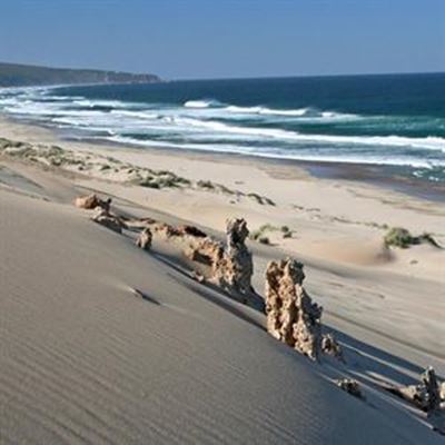 Environmental message finds traction