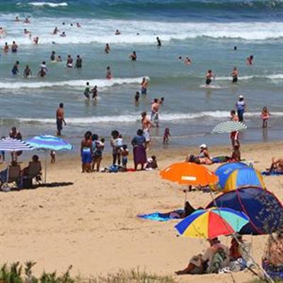 Mossel Bay presents results of study 