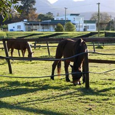 Riding Club tender starts from scratch 