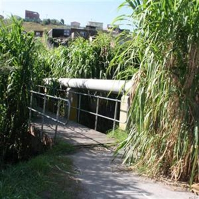 Overgrown, littered area causes concern 
