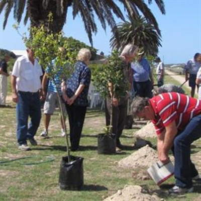 Bome en struike vir Stilbaai