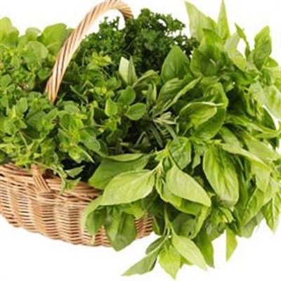 Fresh produce from Epilepsy SA's garden 