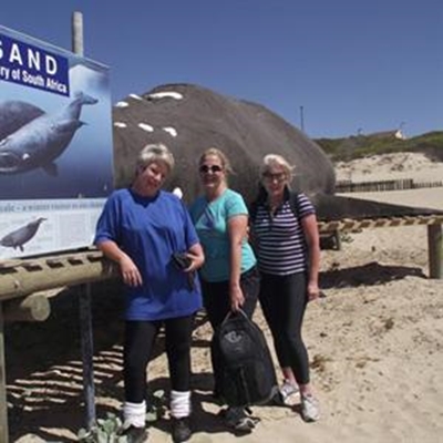 Freddie the whale at home in Witsand