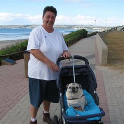 Doggie Beach Walk a tail wagging event 