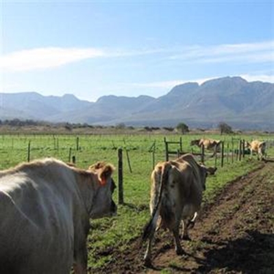 Pasture shortage during winter months 