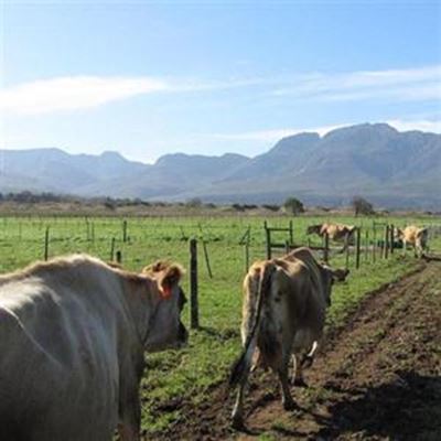 Pasture shortage during winter months 