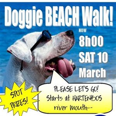 Doggie Beach Walk 
