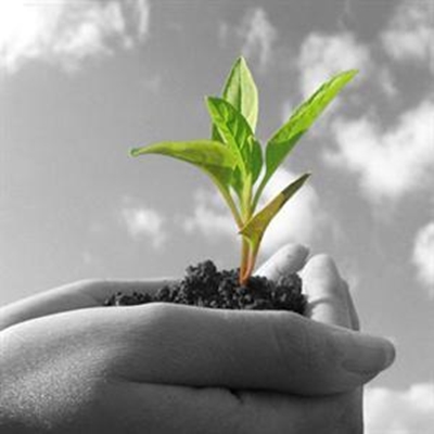 Sustainable food under stressful conditions 