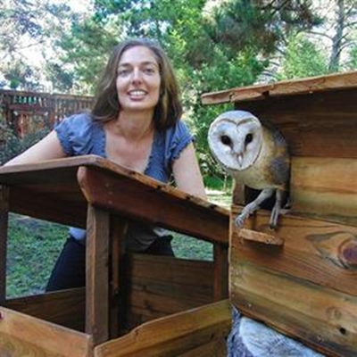 Give a hoot for owls