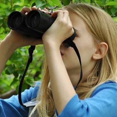 Flight for birders