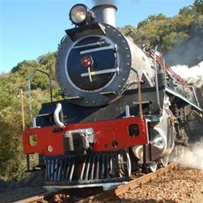 Last attempt to save Outeniqua Choo-Tjoe