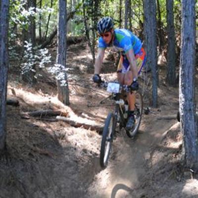 Testing second SWD cycle race 