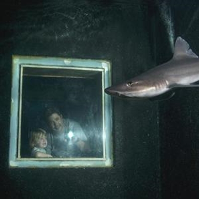 Responsible Tourism Photo of the Year 