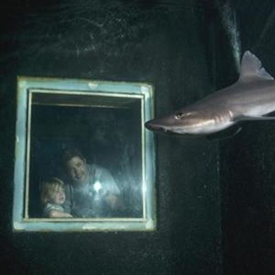 Responsible Tourism Photo of the Year 