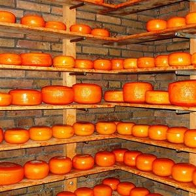 Nederlands en Vlaamse Oranje-Mark 