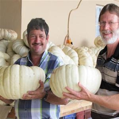 Pampoenkos vir Afrika!
