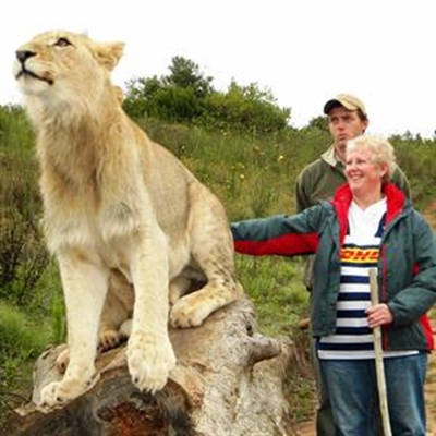 Mossel Bay Advertiser doen die Leeuloop