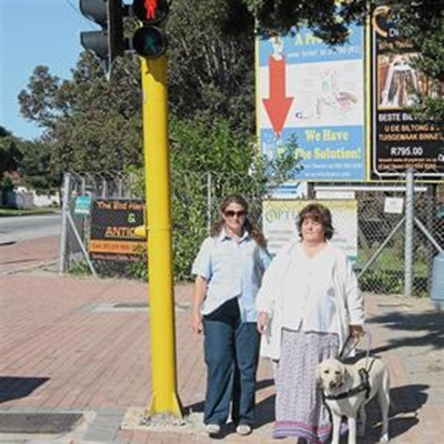 Blind Riana gets guide dog