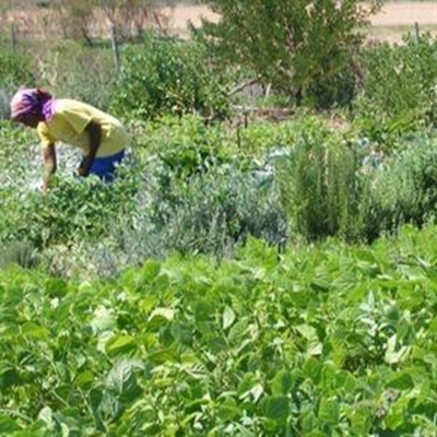 Agro-ecological summit for small-scale producers 