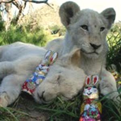 Don't let Easter pass you by 