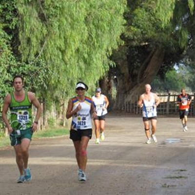 Volstruiswedloop in Klein-Karoo 