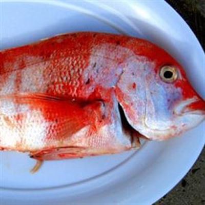 Concern over sale of red stumpnose 