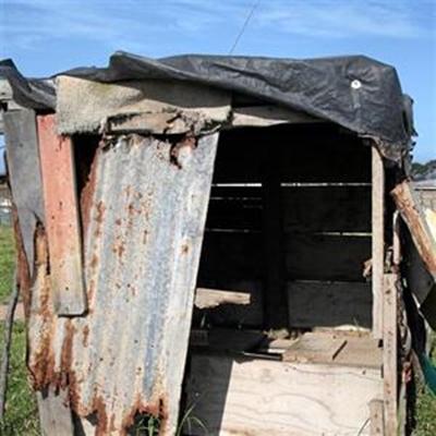 Update: Baby found in pit toilet 