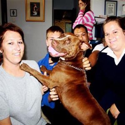 Stolen Cape dog found in Blanco 