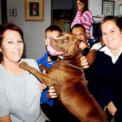 Stolen Cape dog found in Blanco 