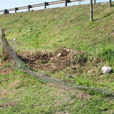 Heidelberg-sakeman erg ontstoke 