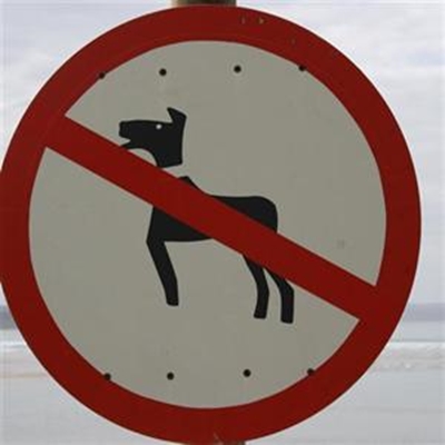 Honde verordening in perspektief 