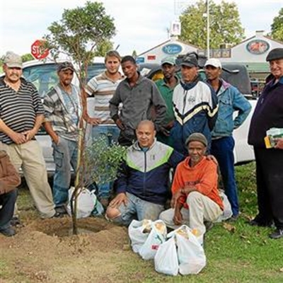 Bome vir Blanco