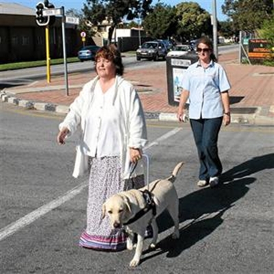 Life’s easier with a guide dog 