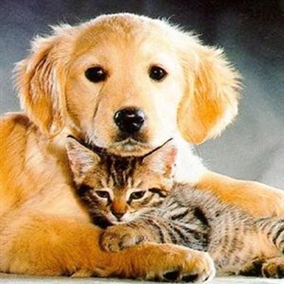 News from PAWS