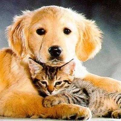 News from PAWS