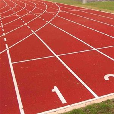 Knysna Primary produces national champs 