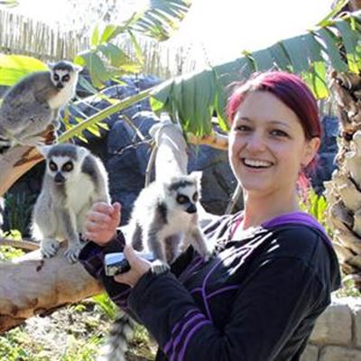 Interactive Lemur village open 