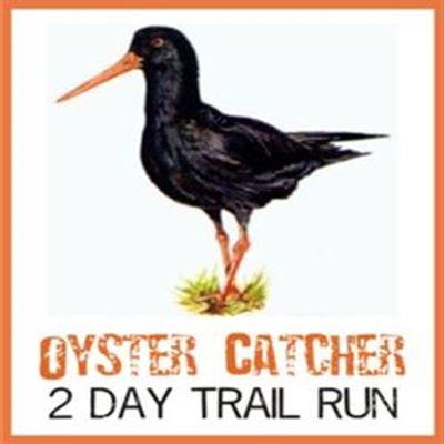 Get ready for the Oyster Catcher 