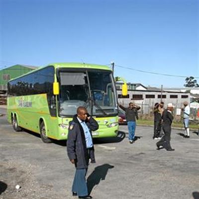 Roadlink bus licence suspended
