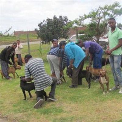 Breakfast to combat dog fighting 
