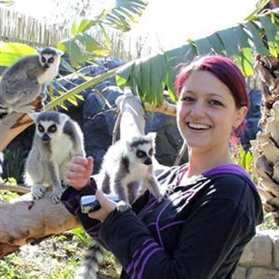Update: Interactive Lemur village open 