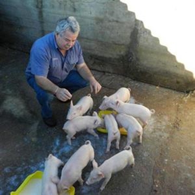 Plaasbestuurder staan 'ma' vir 9 varkies