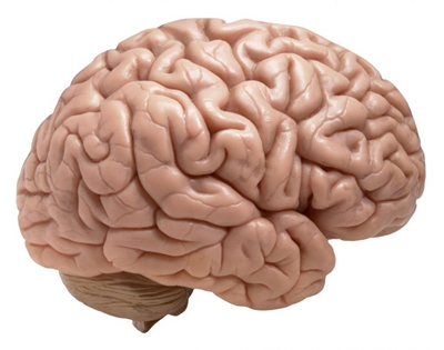 Keep you brain sharp