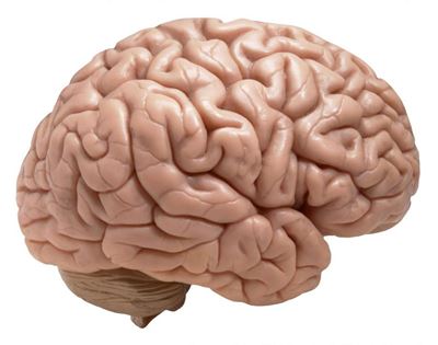 Keep you brain sharp
