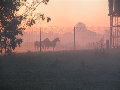 Veld fire threatens school project