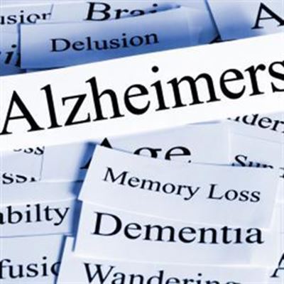 Alzheimer's group ready for 2013