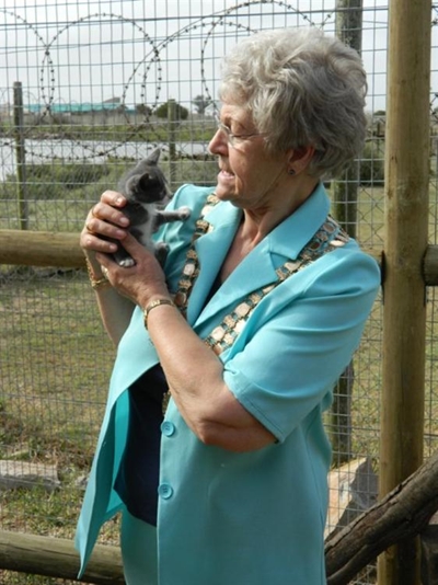 SPCA boasts new cattery