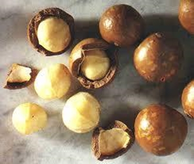 Another good Macadamia year